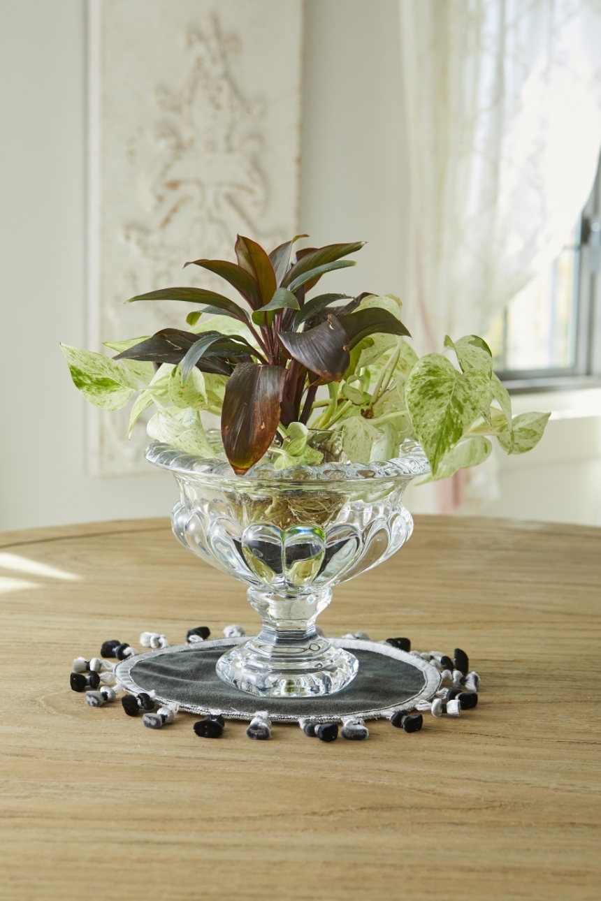 フラワーベース 大4