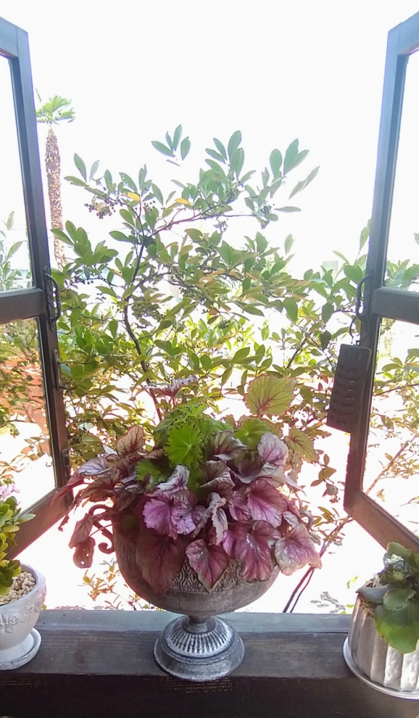 ガーデンポット　　ゴブレット5